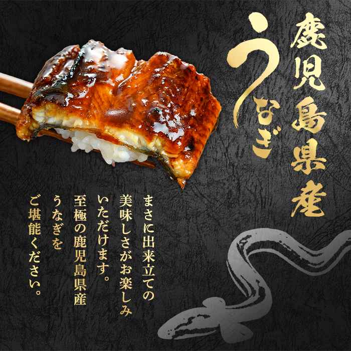 0304313a】＜訳あり＞東串良町のうなぎ蒲焼(無頭)(5尾以上・計約