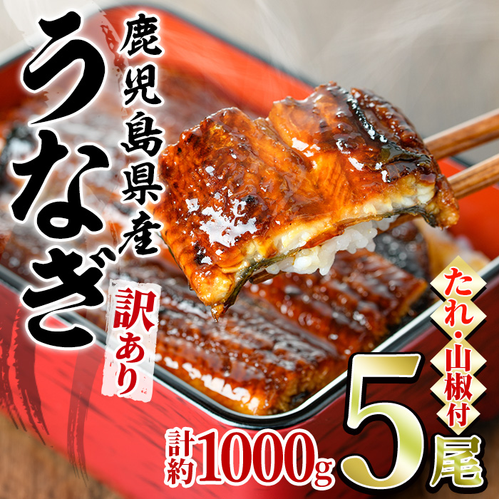 【0304313a】＜訳あり＞東串良町のうなぎ蒲焼(無頭)(5尾以上・計約1kg・タレ、山椒付) うなぎ 高級 ウナギ 鰻 国産 蒲焼 蒲焼き たれ 鹿児島 ふるさと 人気【アクアおおすみ】