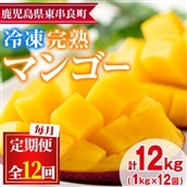 【156951】<定期便・全12回(連続)>鹿児島県産!南国の恵み!丸ごと冷凍完熟マンゴー(1kg×12回)果物 フルーツ 果実 冷凍 デザート 国産【甘宮】