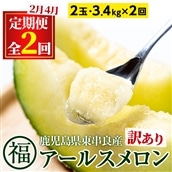 【0421109b】<訳あり!定期便・全2回(2月・4月)>マル福の高級アールスメロン(2玉×2回・計6.8kg)メロン フルーツ 果物 果実 6キロ 数量限定 期間限定【マル福園芸組合】