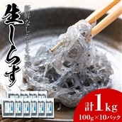 【22517】鹿児島県産生しらす(冷凍)計1kg(100g×10パック) 獲れたてしらすを急速冷凍！鮮度抜群なしらすをご家庭で気軽に！【東串良町漁業協同組合】
