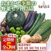 【75956】<定期便・全5回>自慢の農家×老舗青果店の新鮮でおいしいおまかせ野菜便(12品×5回)野菜 セット 詰合せ 詰め合せ【有留青果】