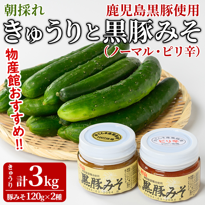 【0105905a】＜期間限定＞朝採れ！新鮮！きゅうり(3kg) と物産館おススメ黒豚みそ(計240g・120g×2種) セット キュウリ 採れたて 野菜 鹿児島黒豚 【東串良物産館ルピノンの里】
