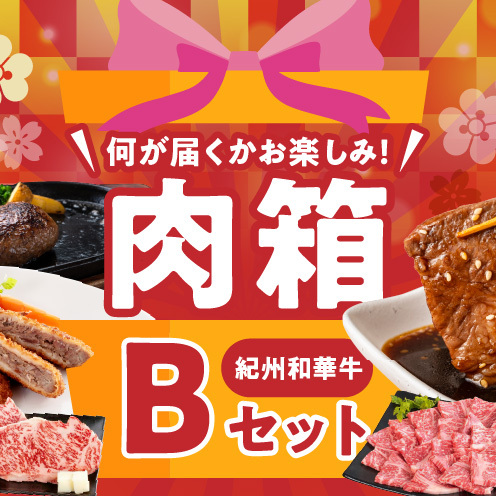 BN6136_お楽しみ肉箱 Bセット お試し ドキドキ 黒毛和牛 ハンバーグ メンチカツ ステーキ ロース ヒレ 焼肉 すき焼き しゃぶしゃぶ 盛り合わせ コロッケ ローストビーフ 食品 和歌山県 湯浅町 送料無料 
