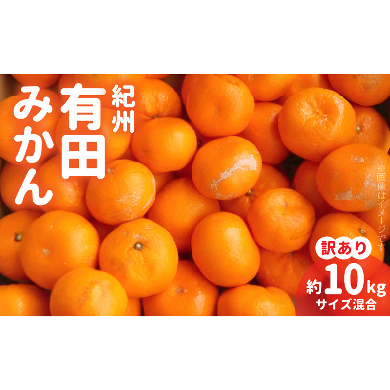 ZD92069_エコファーマーのこだわり 有田みかん 10kg (サイズ混合・秀・優品)【数量限定】