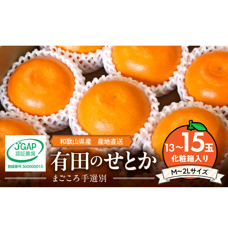 ZE6497_【2026年先行予約】【まごころ手選別】 せとか 化粧箱入り (13~15玉)