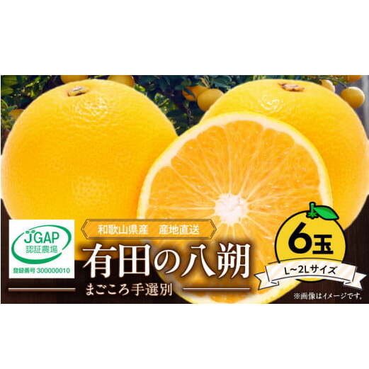 ZE6306n_【2026年先行予約】有田の八朔 (はっさく) 1.5kg 6玉(L~2Lサイズ)まごころ手選別