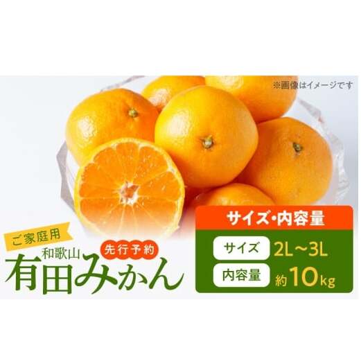 AT6314_ご家庭用 和歌山有田みかん 約10kg (2L、3Lサイズ)【湯浅町】