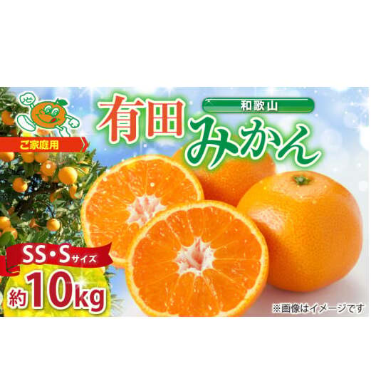 ZJ6098_有田みかん 訳あり 家庭用  約10kg (SS、Sサイズ)  みかん 温州みかん フルーツ 柑橘 果物 果実 ジューシー 人気 国産 食べ物 和歌山県 湯浅町 送料無料