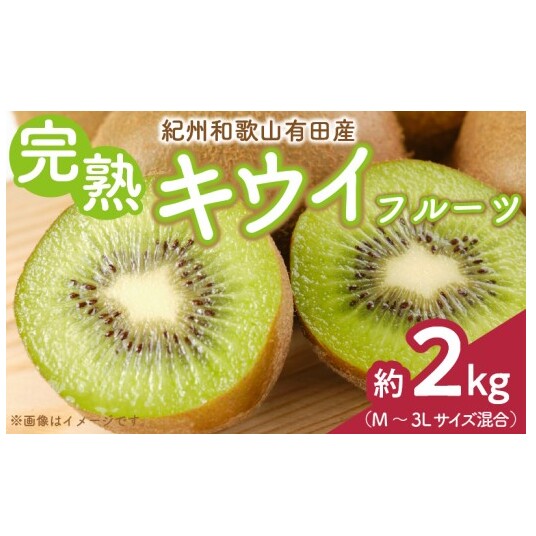 ZD6233n_【2026年先行予約】有田でとれた 完熟 キウイフルーツ 2kg (M～3Lサイズ混合)