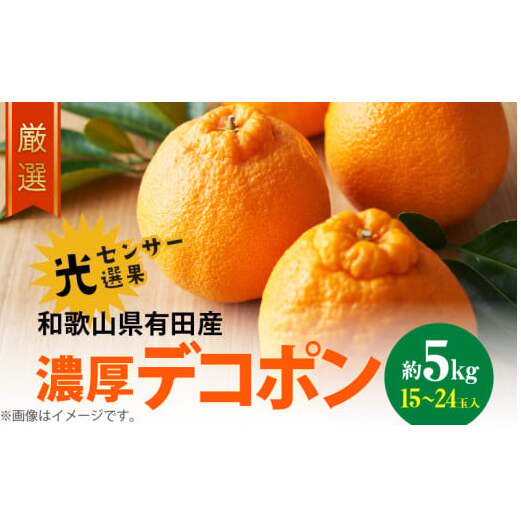 AB6175n_【2026年先行予約】和歌山有田の 濃厚 デコポン 5kg デコポン 約 5kg 15~24玉 サイズ おまかせ 糖度 13度以上 光センサー 選果 こだわり 厳選 濃厚 甘さ 適度 酸味 不知火 フルーツ 果物 デザート 柑橘 果実 濃厚 甘味 国産 食品 食べ物 お取り寄せ お取り寄せフルーツ 和歌山県 湯浅町 送料無料
