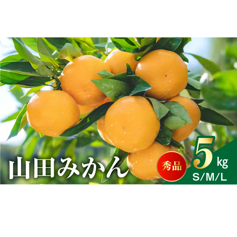 AM6001n_山田みかん 秀品 5kg (S・M・Lサイズいずれかおまかせ)