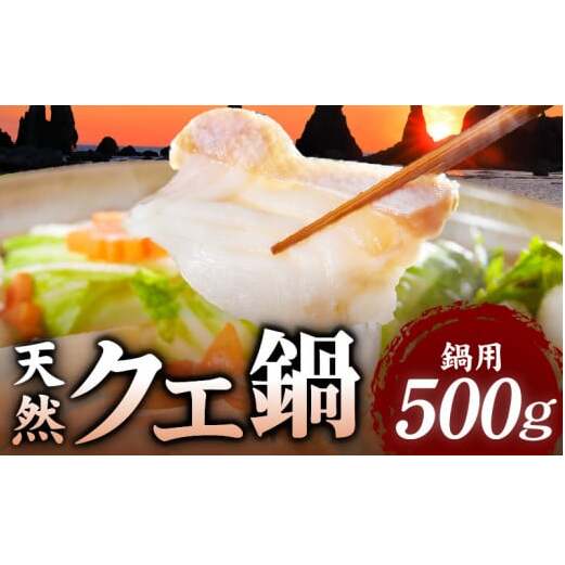 R1002_天然 クエ鍋 500g くえ鍋セット 幻の魚 魚 くえ鍋専門店 鍋用 上品 安定の品質 和歌山 湯浅町