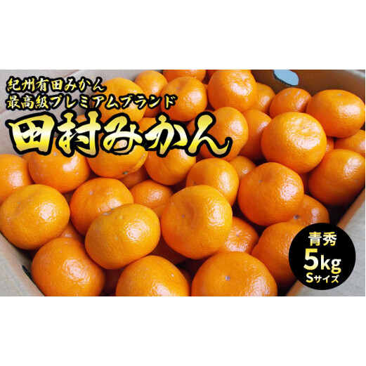 U6241n_「高級 田村みかん」 青秀 約5kg Sサイズ 和歌山県有田産 有田みかん