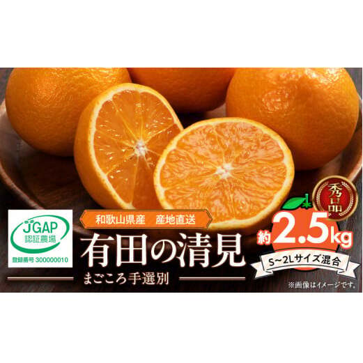 ZE6367n_【2026年先行予約】和歌山県産 有田の 清見 2.5kg (S~2Lサイズ混合)【まごころ手選別】