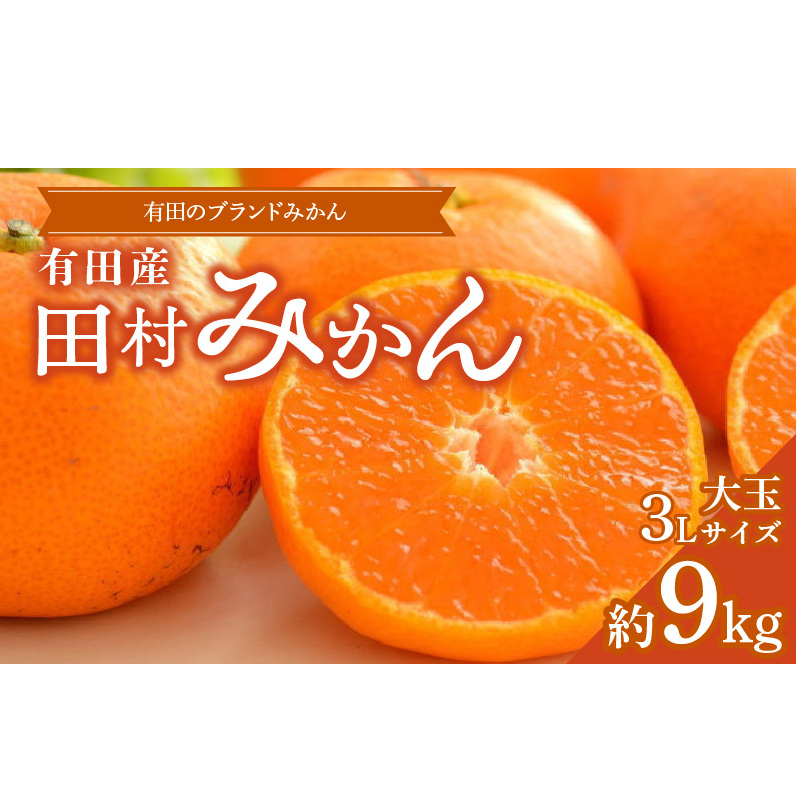 ZD7028_数量限定【ブランドみかん】田村みかん 大玉 約9kg (3Lサイズ)