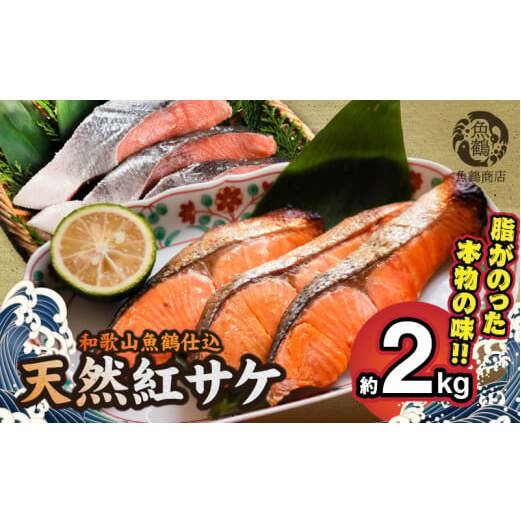 G7318_リピーター続出! 高評価 魚鶴 仕込 天然紅 鮭 サケ 切身 約2kg サケ切身 紅鮭 和歌山 湯浅町 小分け 真空パック 梅酒 真昆布 使用 だし まろやか 天然 鮭 魚 海の幸 海鮮 魚介 食品 食べ物 おかず お弁当 水産加工品 冷凍 グルメ お取り寄せ 和歌山県 湯浅町 送料無料