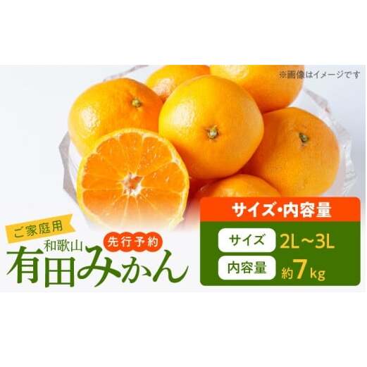 AT6315_ご家庭用 有田みかん 約7kg (2L、3Lサイズ)【湯浅町】