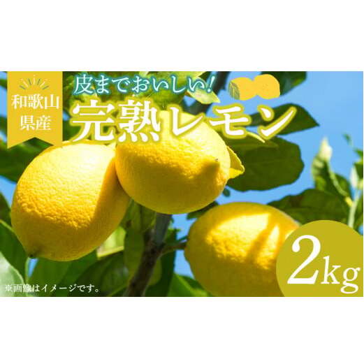 EA6010n_和歌山県産 完熟 レモン 2kg 皮まで使用可能(栽培期間中農薬不使用)