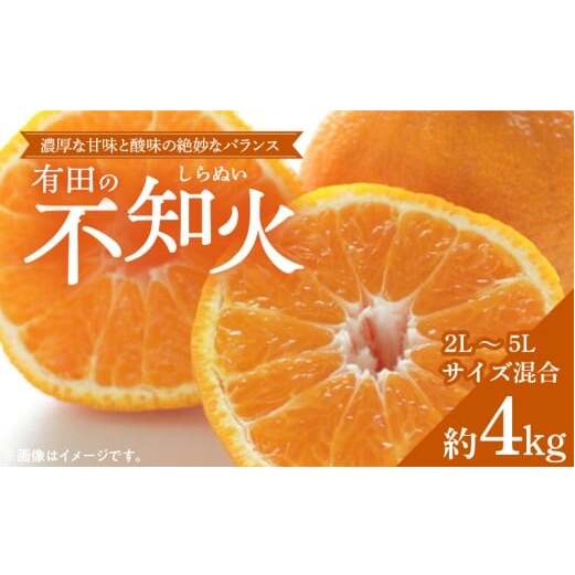ZD6380n_【2026年先行予約】【濃厚】有田産不知火約4kg(2L~5Lサイズ混合)