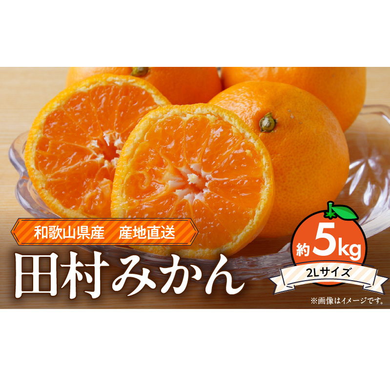 ZE6345n_和歌山 湯浅町産 田村みかん 5kg【2L】