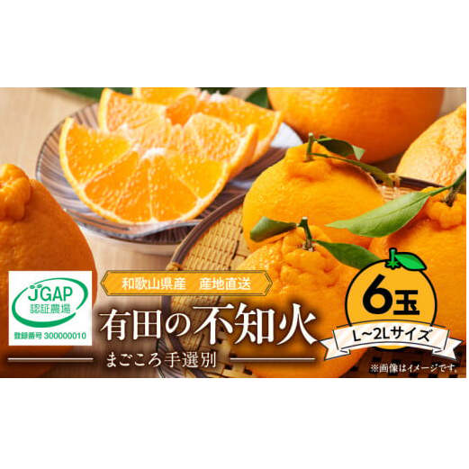 ZE6110n_【2026年先行予約】有田の不知火(しらぬひ) 6玉 (L~2Lサイズ)まごころ手選別
