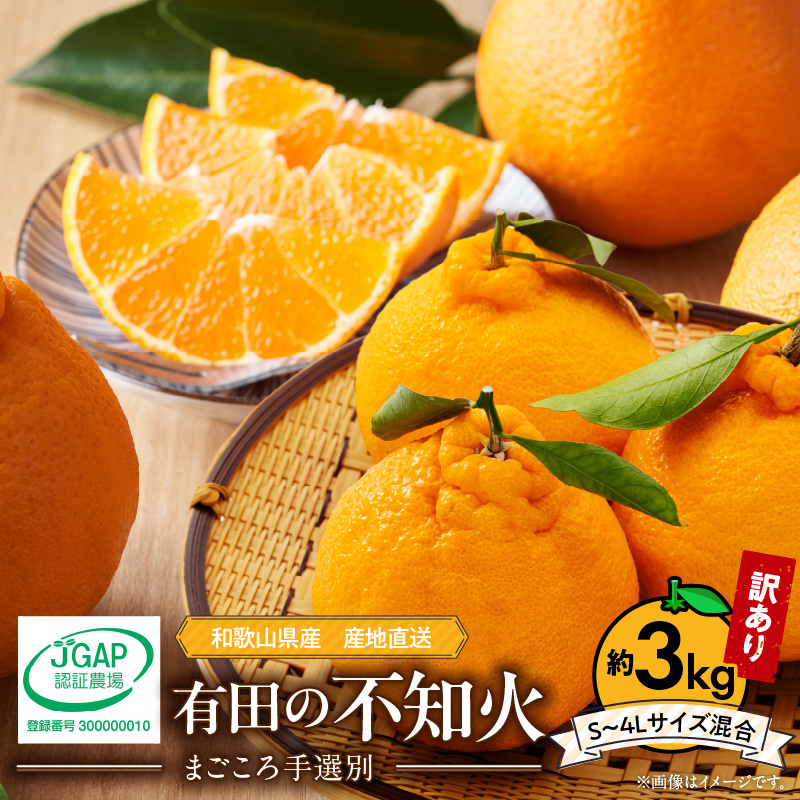 ZE6378n_【2026年先行予約】有田の不知火(しらぬひ) 【訳あり　家庭用】　3kg (S～4Lサイズ混合)まごころ手選別