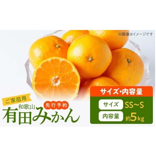AT6323_ご家庭用 旨味凝縮 有田みかん 約5kg (SS、Sサイズ)【湯浅町】
