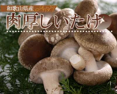 DM6003_最高級 肉厚椎茸 清流椎茸 1kg (200g×5パック)