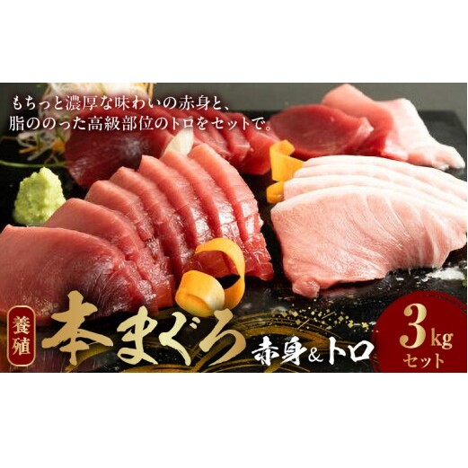 AZ6021_本マグロ （養殖） 赤身 ＆ トロ セット 3kg