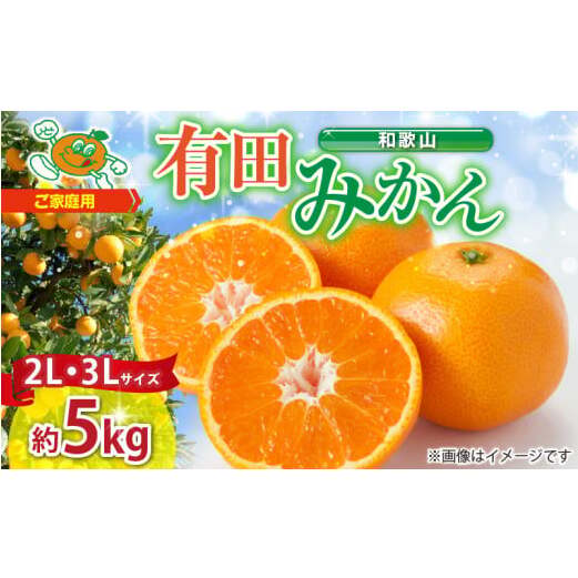 ZJ6084_【2025年先行予約】ご家庭用 和歌山有田みかん 約5kg (2L、3Lサイズいずれか)【湯浅町】