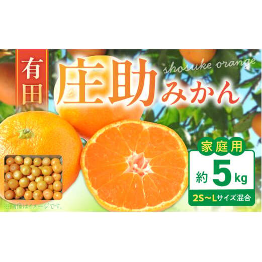BK6015_庄助みかん 5kg 家庭用・サイズ混合