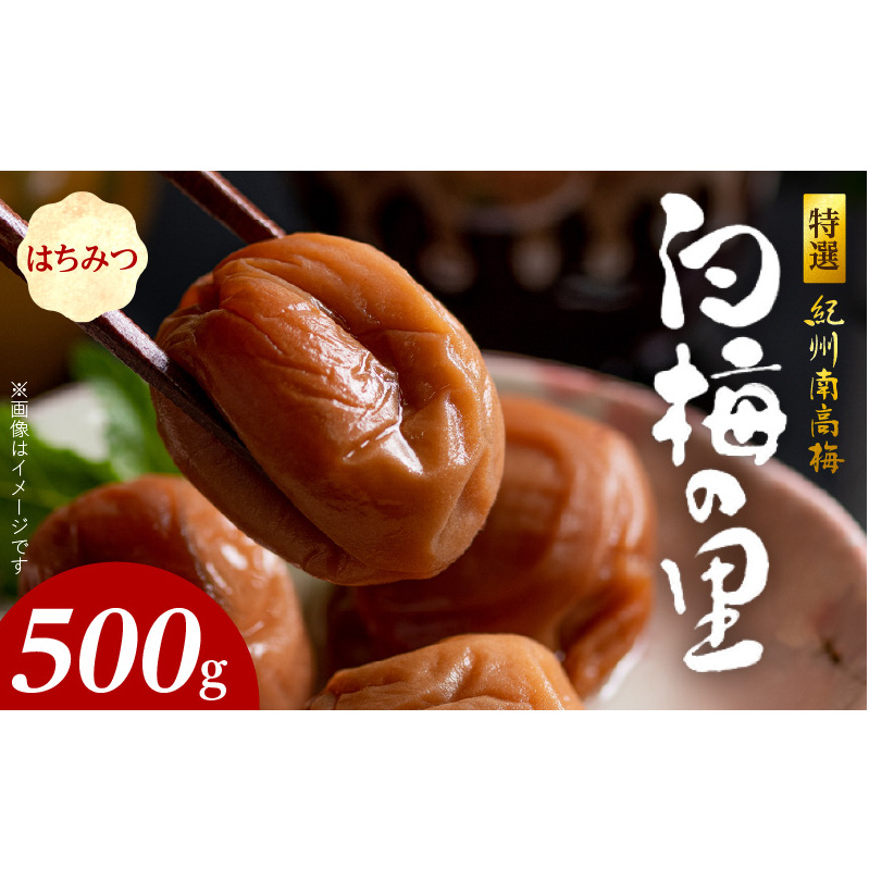 SF1011_特選紀州南高梅「白梅の里」はちみつ 500g