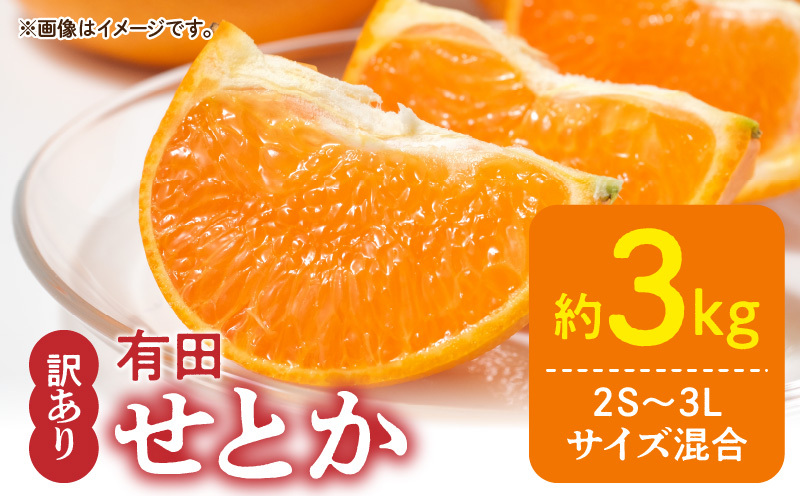 DZ6208_【2026年先行予約】訳あり せとか 和歌山 有田 2S~3Lサイズ混合 約3kg