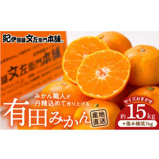 V7440_有田みかん 約15kg(+傷み補填分1kg)=合計16kg【サイズおまかせ】 / 産地直送 / 紀伊国屋文左衛門本舗（お届け日指定不可）