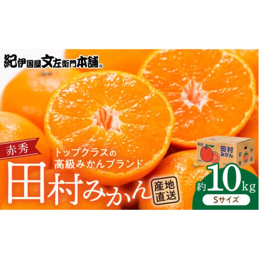 V7444_田村みかん/特選ギフト品10kg【Sサイズ】赤秀 / 紀州和歌山有田郡湯浅町田村地区産 / 最高級プレミアムブランドの田村ミカン / 紀伊国屋文左衛門本舗(お届け日指定不可)