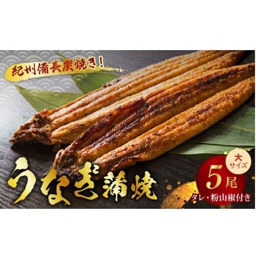 V7304_炭焼き うなぎ 蒲焼 大サイズ 5尾 セット(約150~199g×5尾)タレ・粉山椒付き 国産鰻 冷凍ウナギ 1尾ずつ真空パック 土用の丑の日 紀伊国屋文左衛門本舗