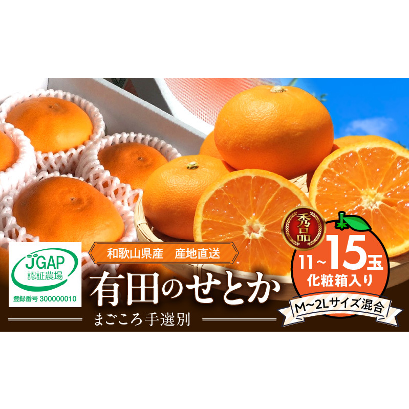 ZE6401n_【2026年先行予約】湯浅町産せとか11~15玉(M~2Lサイズ混合)化粧箱入り秀品【まごころ手選別】