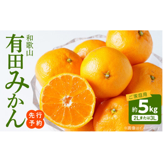 AT6307_【2025年先行予約】ご家庭用　和歌山有田みかん 約5kg (2L、3Lサイズいずれか)【湯浅町】