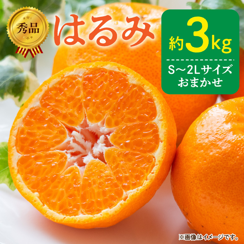 DZ6109_【2026年先行予約】秀品 はるみ 和歌山 有田 S~2Lサイズ 大きさお任せ 約3kg