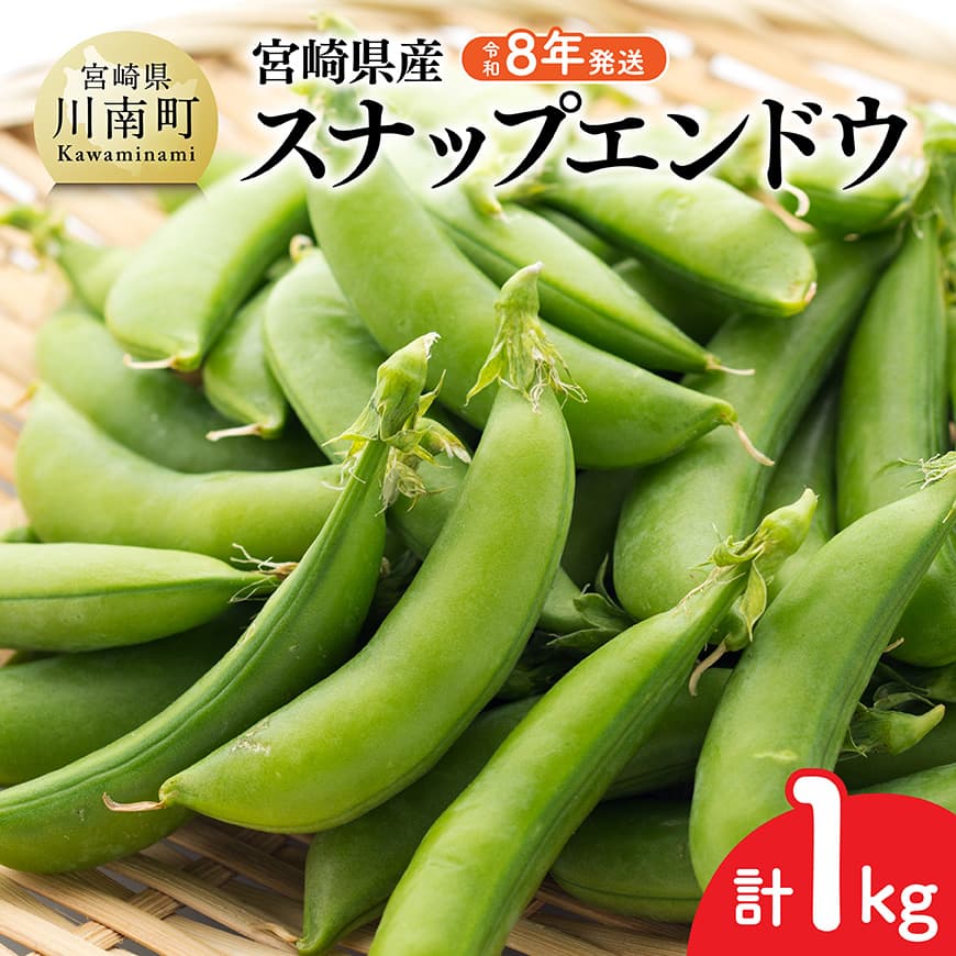 [令和8年発送]宮崎県産 スナップエンドウ1.0kg 野菜 豆[C03904]