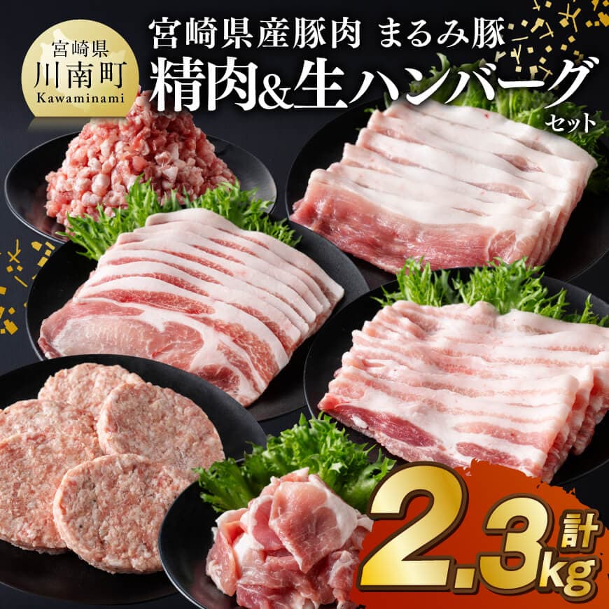 宮崎県産豚肉 「まるみ豚」 精肉&生ハンバーグセット計2.3kg 肉 豚肉 ハンバーグ[D11516]