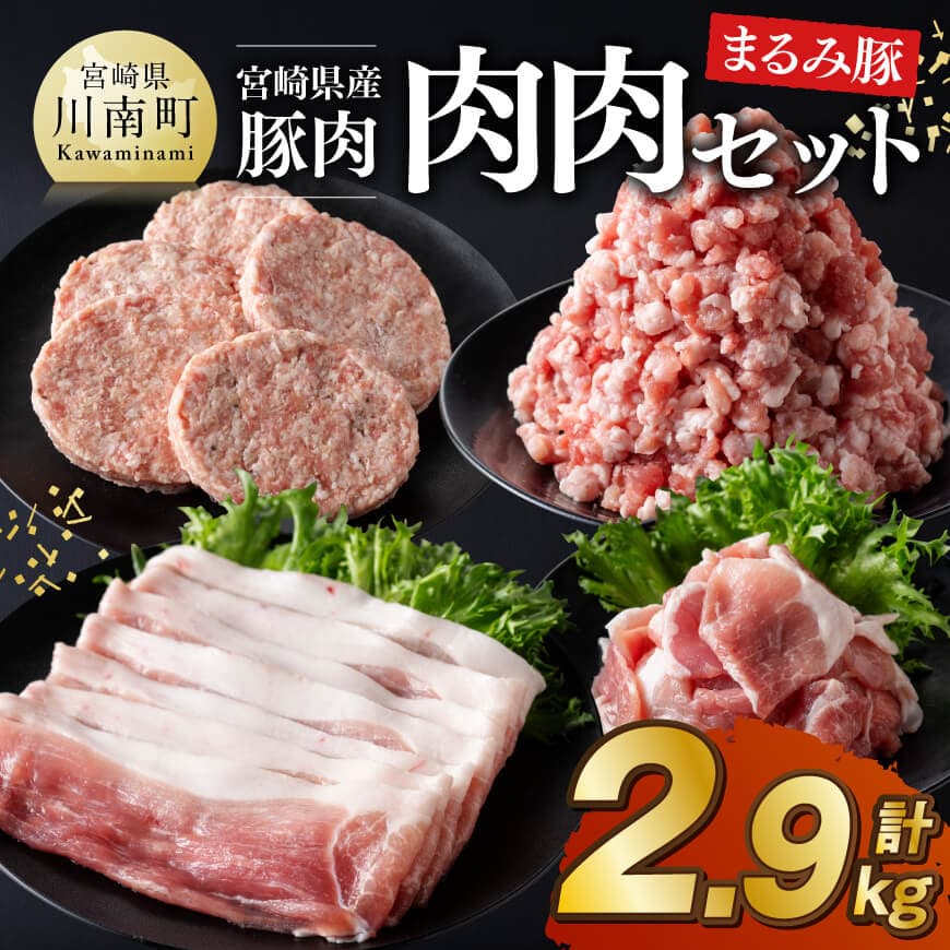宮崎県産豚肉 「まるみ豚」 肉肉セット計2.9kg 肉 豚肉 セット[D11519]