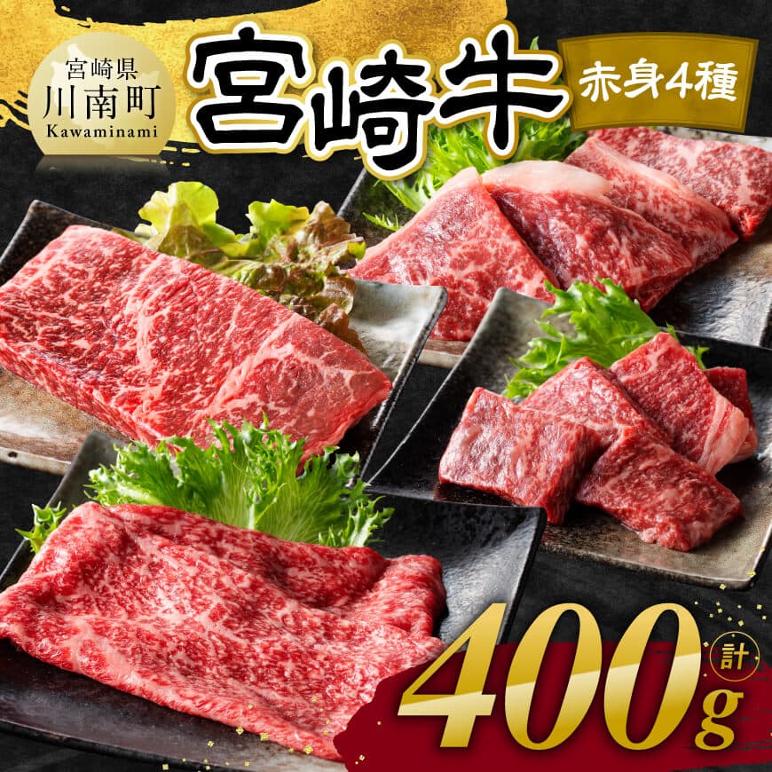 宮崎牛赤身4種400g 牛肉 宮崎牛[C11101]
