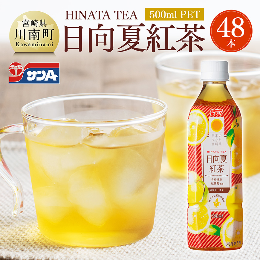 サンA 日向夏 紅茶 HINATA TEA 500mlPET 24本 入り×2ケース 飲料 日向夏 紅茶 [C03014]