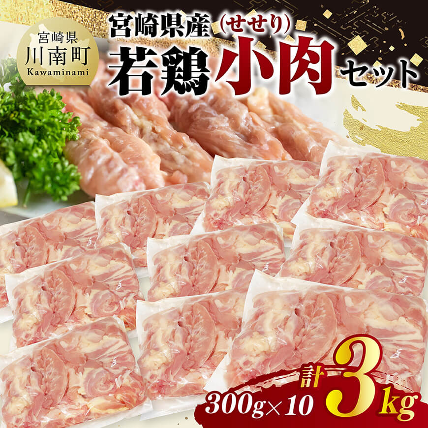 宮崎県産若鶏 小肉(せせり)3kg(300g×10) 鶏肉 せせり 小肉 [C11606]