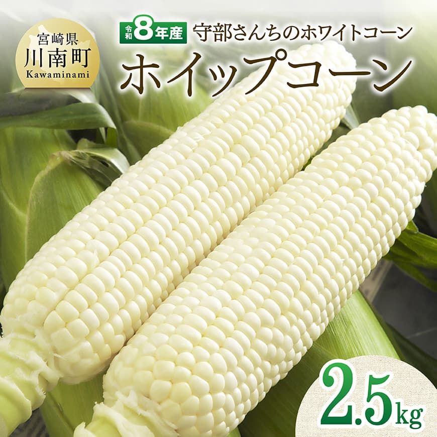 [令和8年発送]宮崎県産とうもろこし 守部さんちのホワイトコーン「ホイップコーン」2.5kg ホイップコーン ホワイトコーン [C06411]
