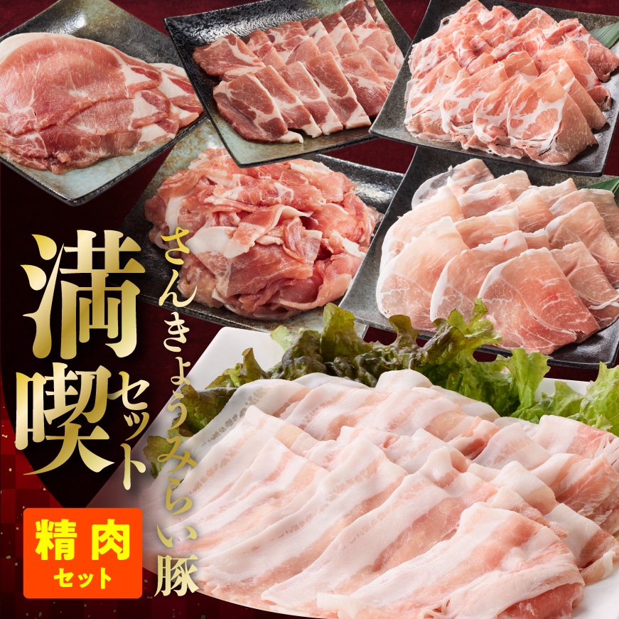 [令和7年6月発送]さんきょうみらい豚満喫セット(精肉セット) 豚肉[E0102br706]