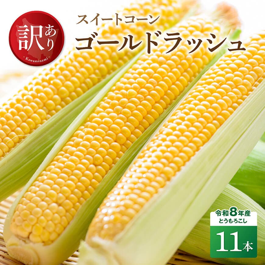 [訳あり]令和8年産とうもろこし スイートコーン「ゴールドラッシュ」11本 とうもろこし [C09101]