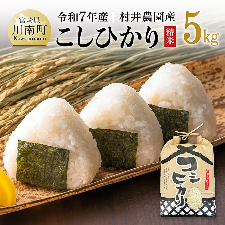 【令和7年産】宮崎県産米　村井農園産こしひかり（精米）5kg　米 お米 新米 白米[C10004]